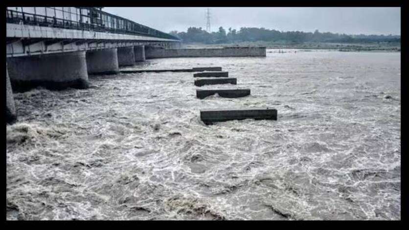 हरियाणा : यमुना के पानी में अमोनिया बढ़ने का दावा, चुनाव आयोग ने मांगी रिपोर्ट