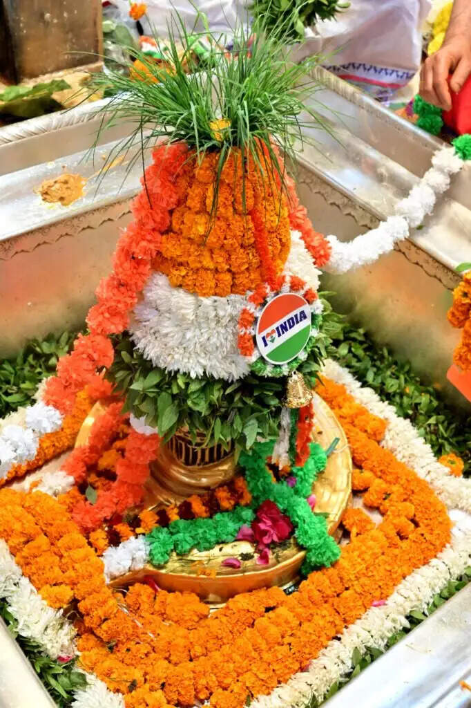 गणतंत्र दिवस : श्रीकाशी विश्वनाथ का हुआ तिरंगा श्रृंगार, राष्ट्रीय धव्ज में सजे काशीपुराधिपति के रूप ने श्रद्धालुओं को किया मंत्रमुग्ध