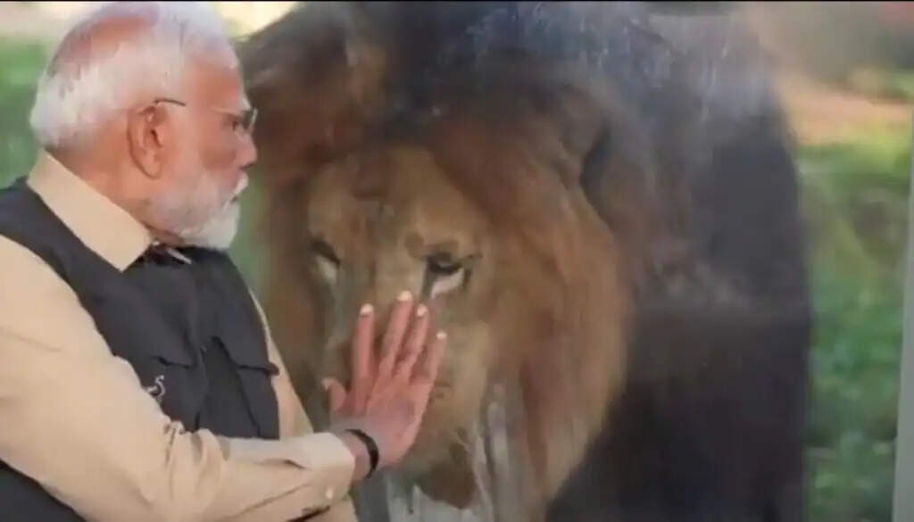 गुजरात में PM Modi ने किया ‘वनतारा’ वाइल्डलाइफ का उद्घाटन, शावकों को खिलाया और दुलारा