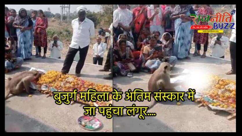 OMG! बुजुर्ग महिला के अंतिम दर्शन के लिए पहुंचा लंगूर, शव के सामने टेका मत्था, फिर श्मशान तक....