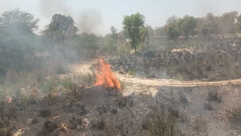 Jaunpur : इटैली नाले के जंगल में आग, बड़ा हादसा टला