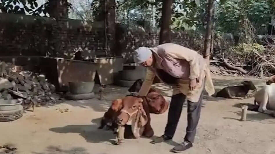 जौनपुर का डेहरी गांव: महाकुंभ में शिरकत करेंगे मुस्लिम समुदाय के लोग, करेंगे संगम स्नान
