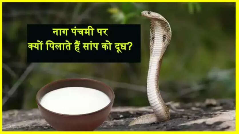 Nag Panchami 2025