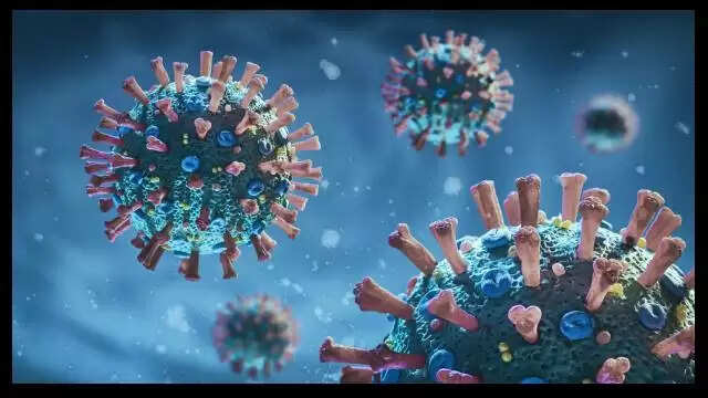 Covid-19 JN.1 Variant