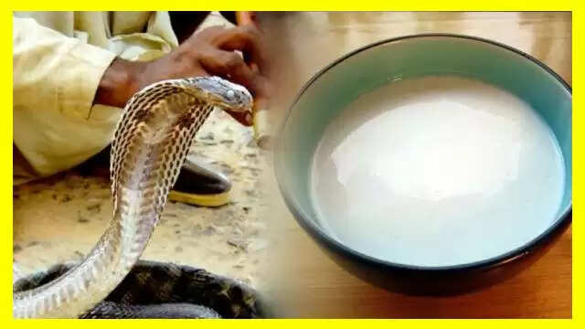 Nag Panchami 2025