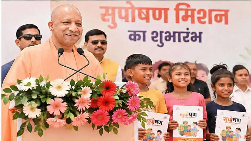 yogi